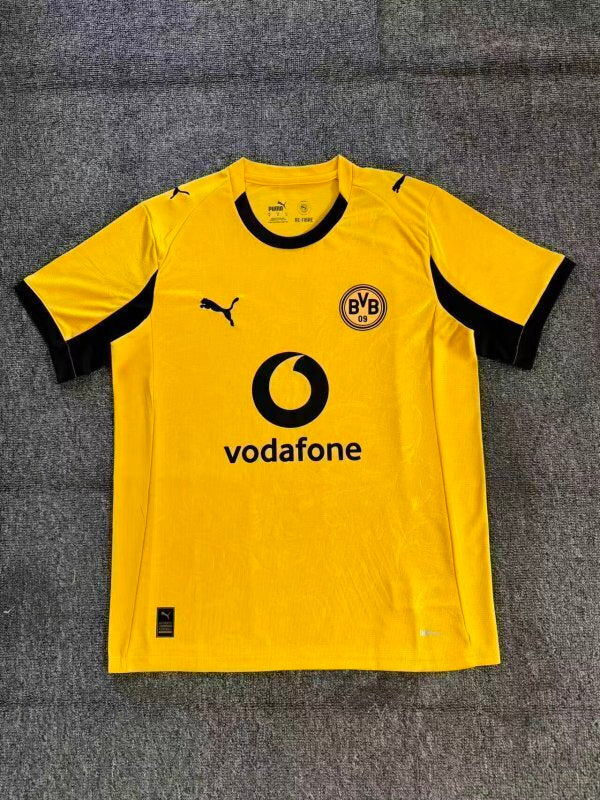 BVB Third 2025/2026